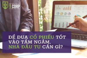 ĐỂ ĐƯA CỔ PHIẾU TỐT VÀO TẦM NGẮM, BẠN KHÔNG THỂ BỎ QUA NHỮNG ĐIỀU NÀY